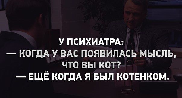 кот.jpg