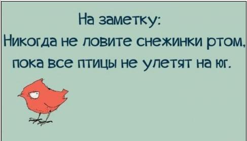 sneg.JPG