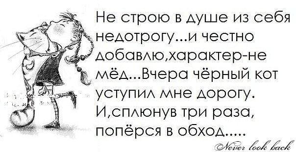 cherniy kot.jpg