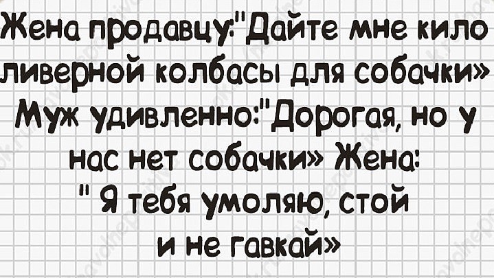 sobachka.jpg