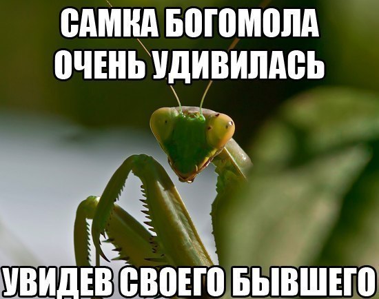 fxKZpZybQUA.jpg