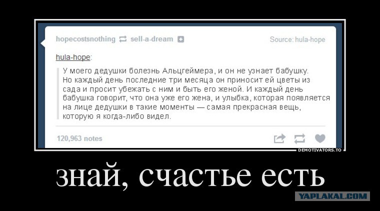 чичастье.jpg