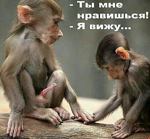 нравишься.jpg