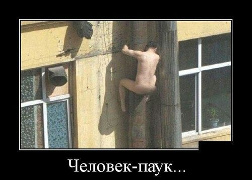 паук.jpg