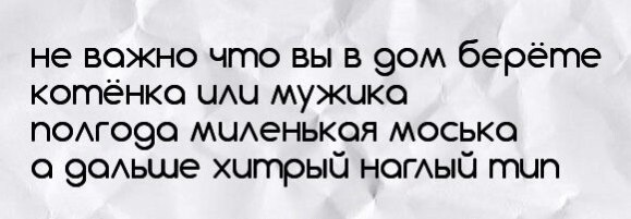 фан2.jpg