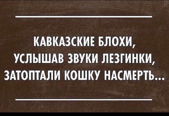 блохи.jpg
