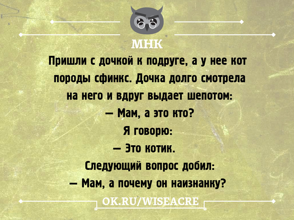 сфинкс.jpg