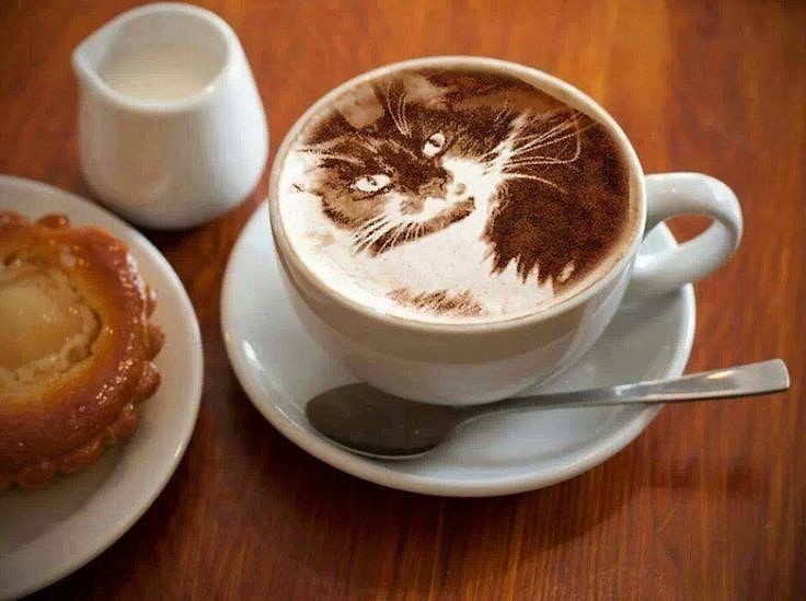 coffecat.jpg