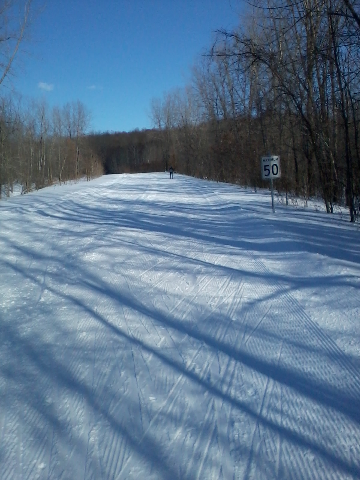 ski.jpg