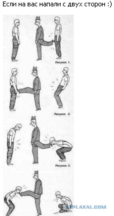 fight.jpg