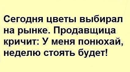 цветы.jpg