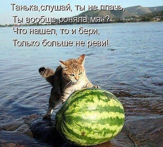 мяч.jpg