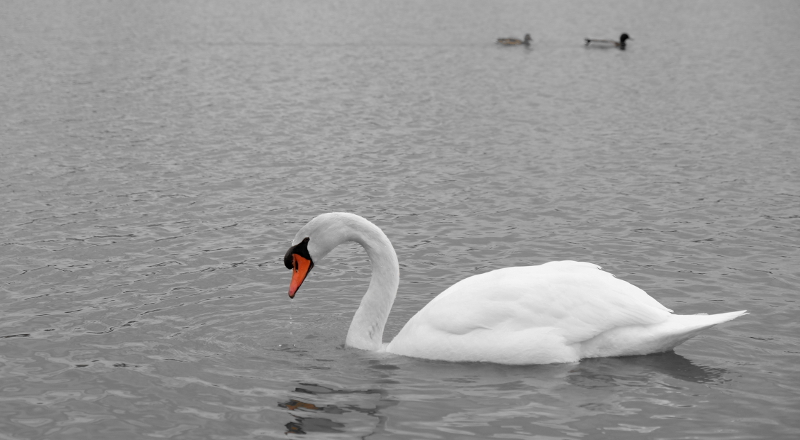 DSCF0508_1.JPG