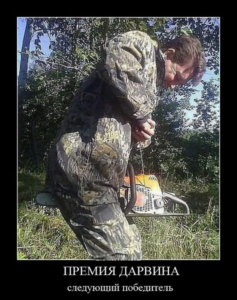 пила.jpg