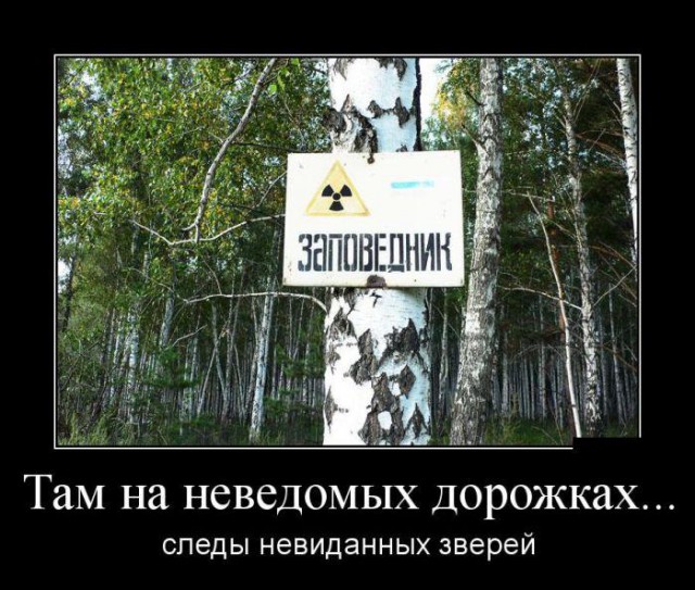 заповедник.jpg