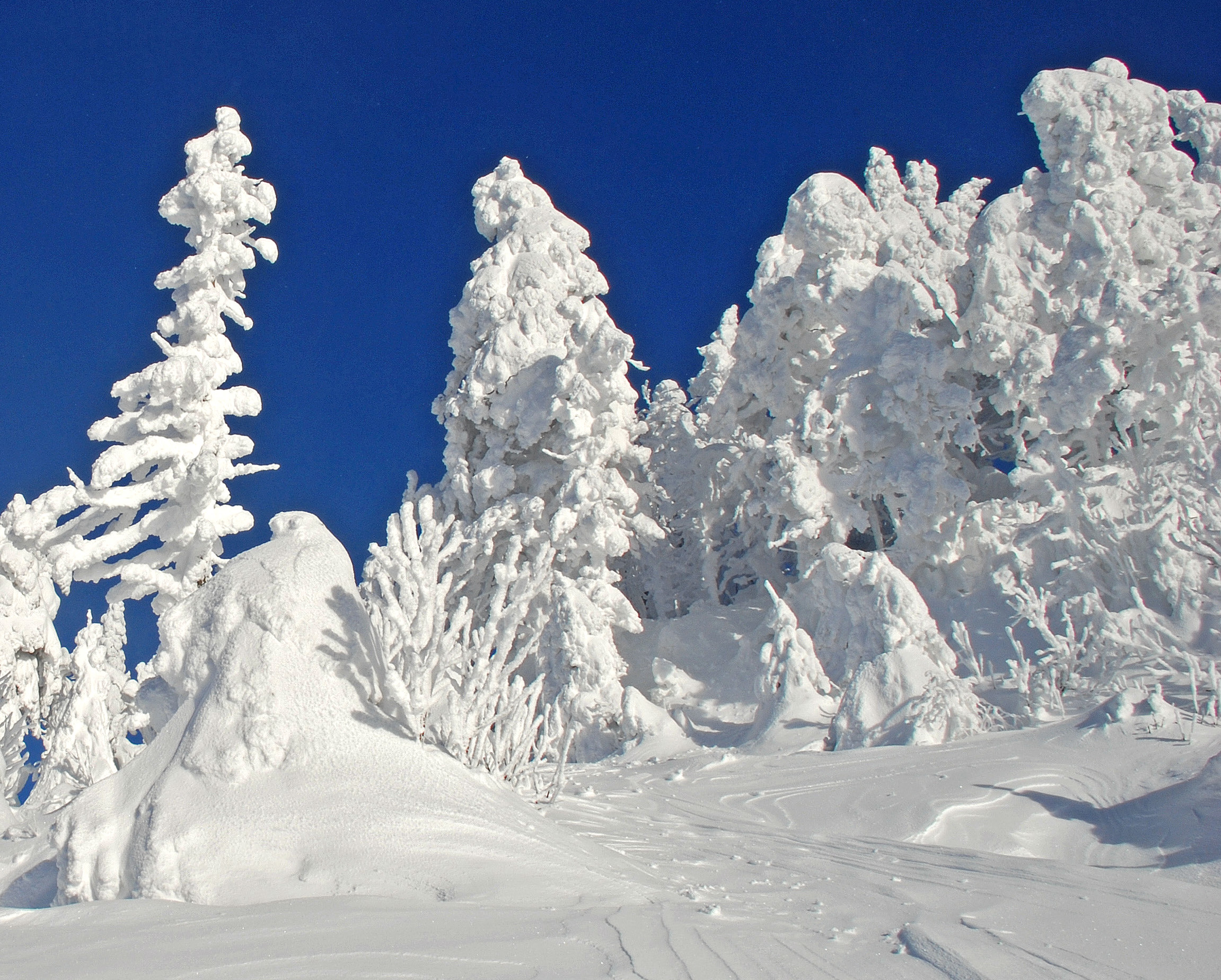 DSC_2841 tremblant1.jpg