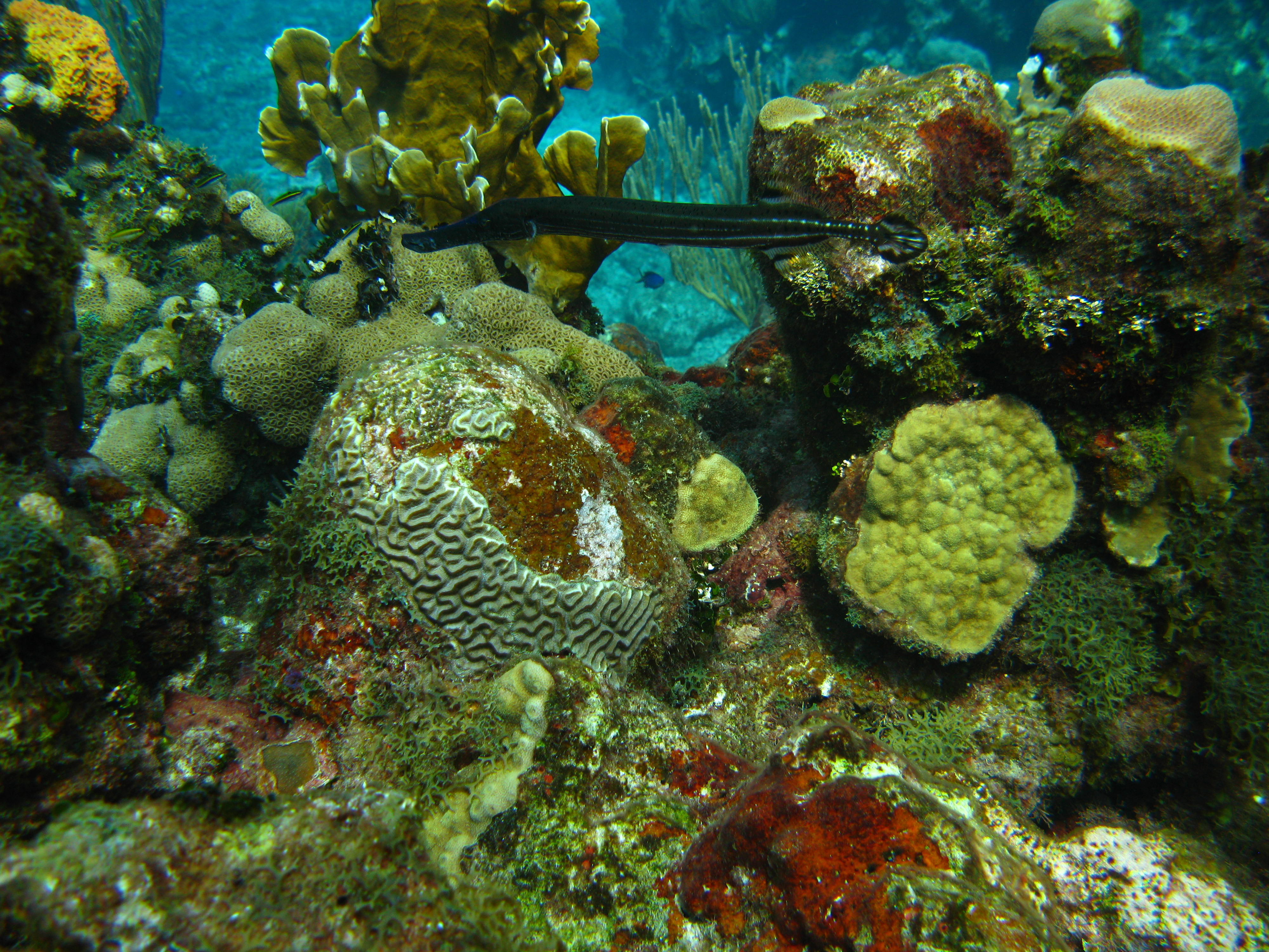 IMG_1105.JPG