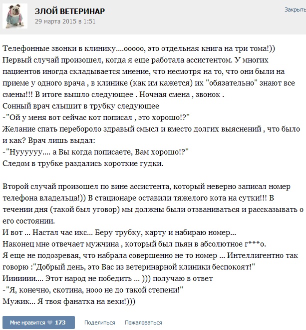 вет1.jpg