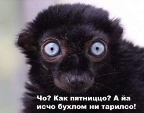 пятница1.jpg