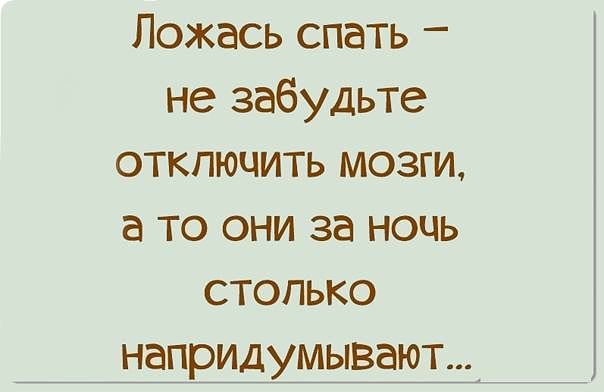 mozgi.jpg