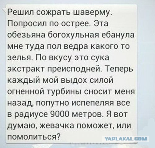 шаверма.jpg