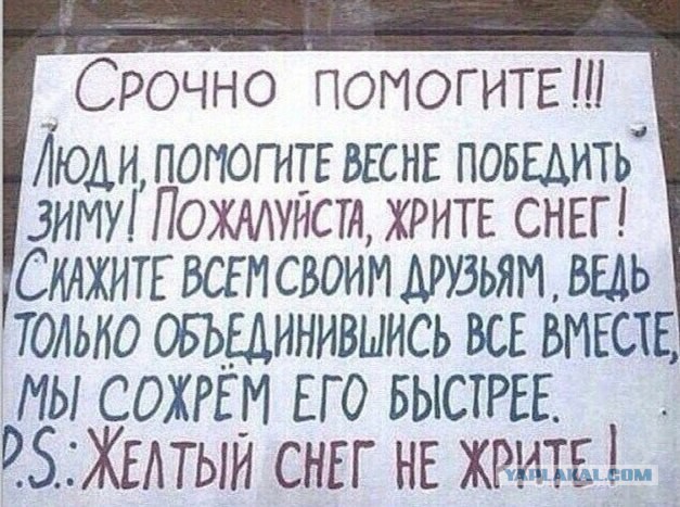 снег.jpg