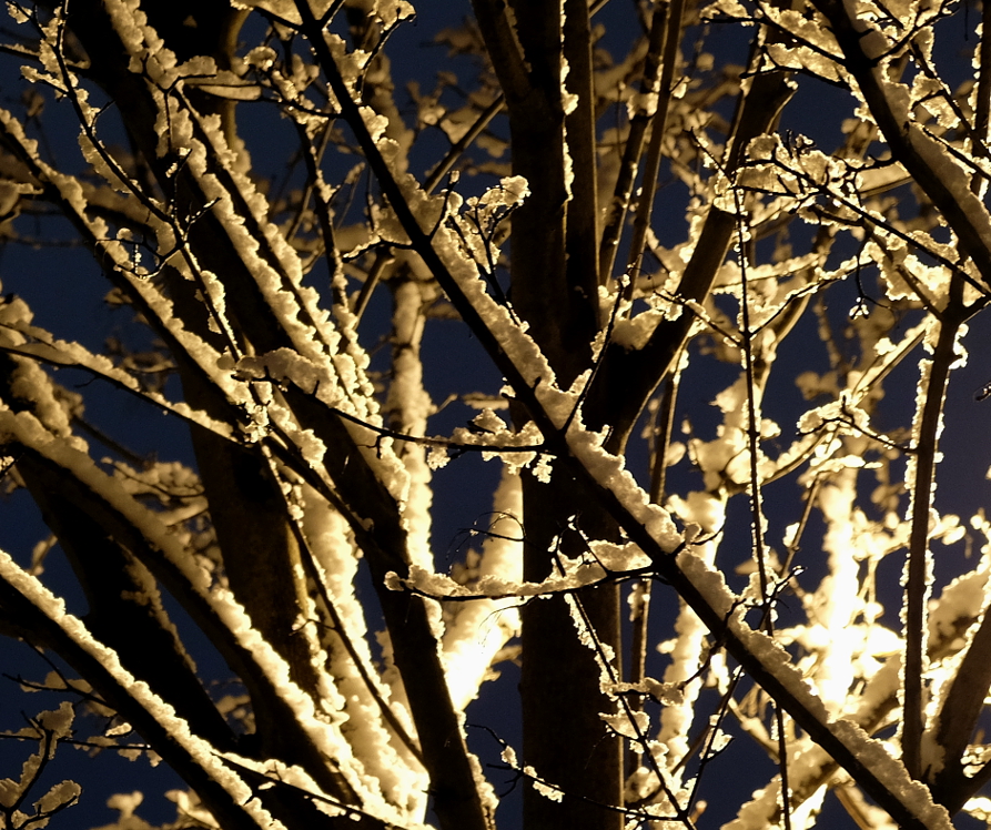 DSCF0873.JPG